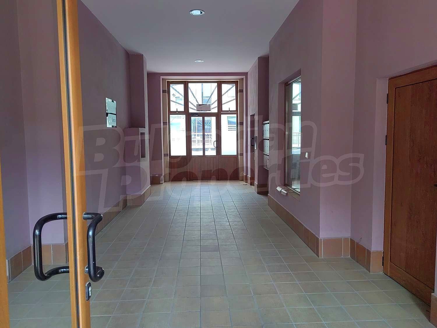 Gallery Picture 11