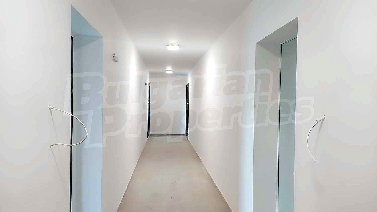 Gallery Picture 15