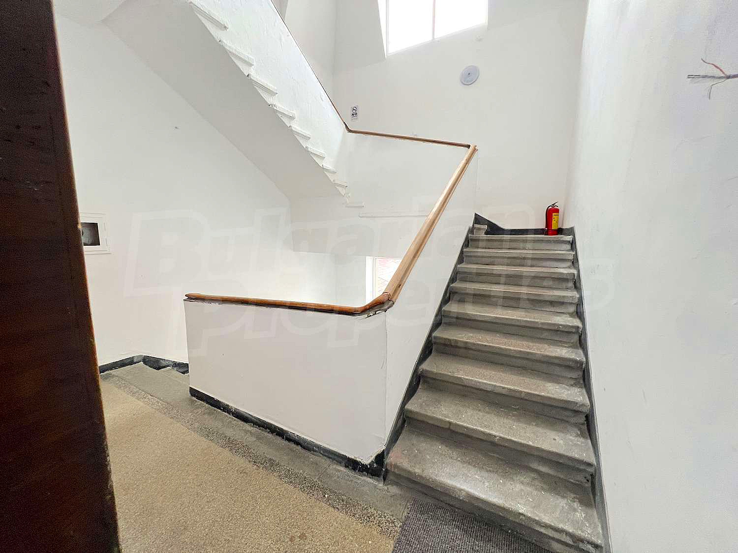 Gallery Picture 26