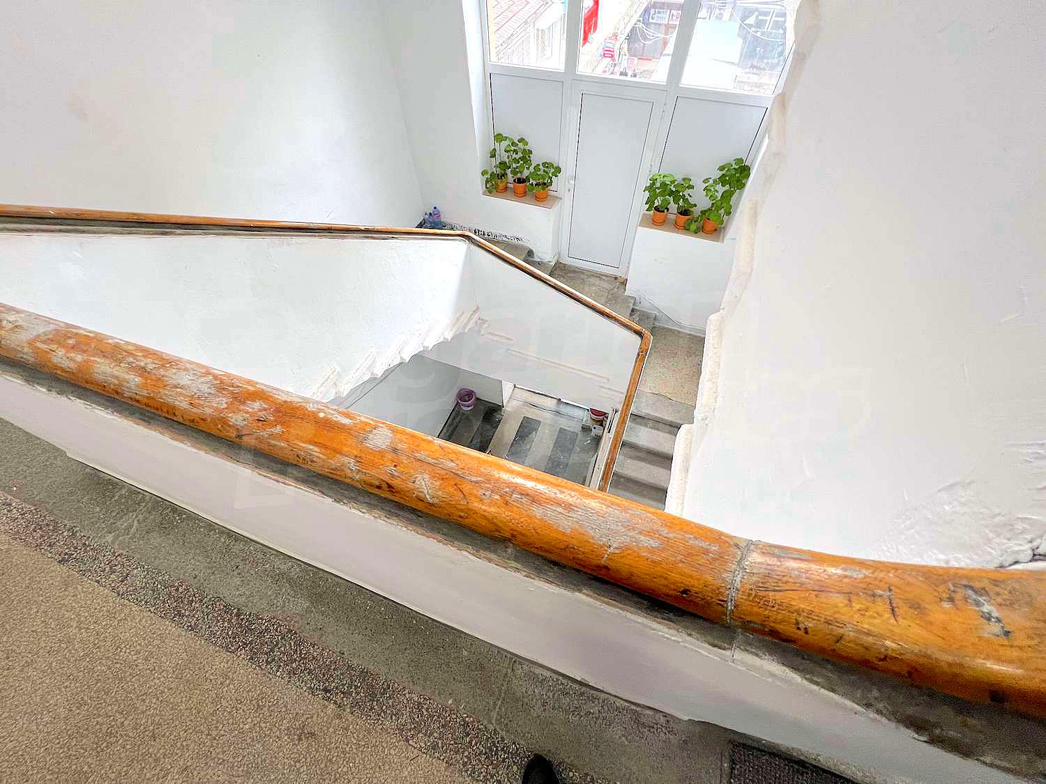 Gallery Picture 27