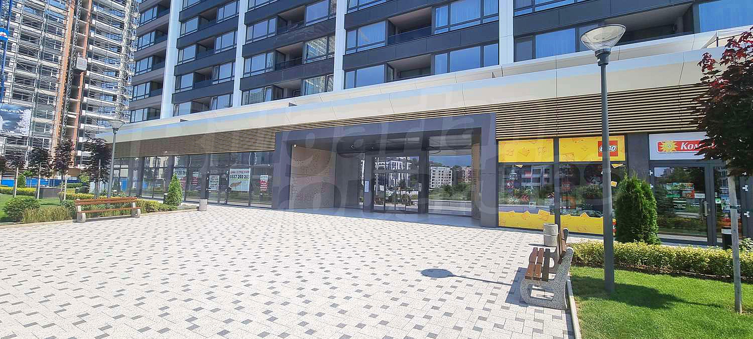 Gallery Picture 18