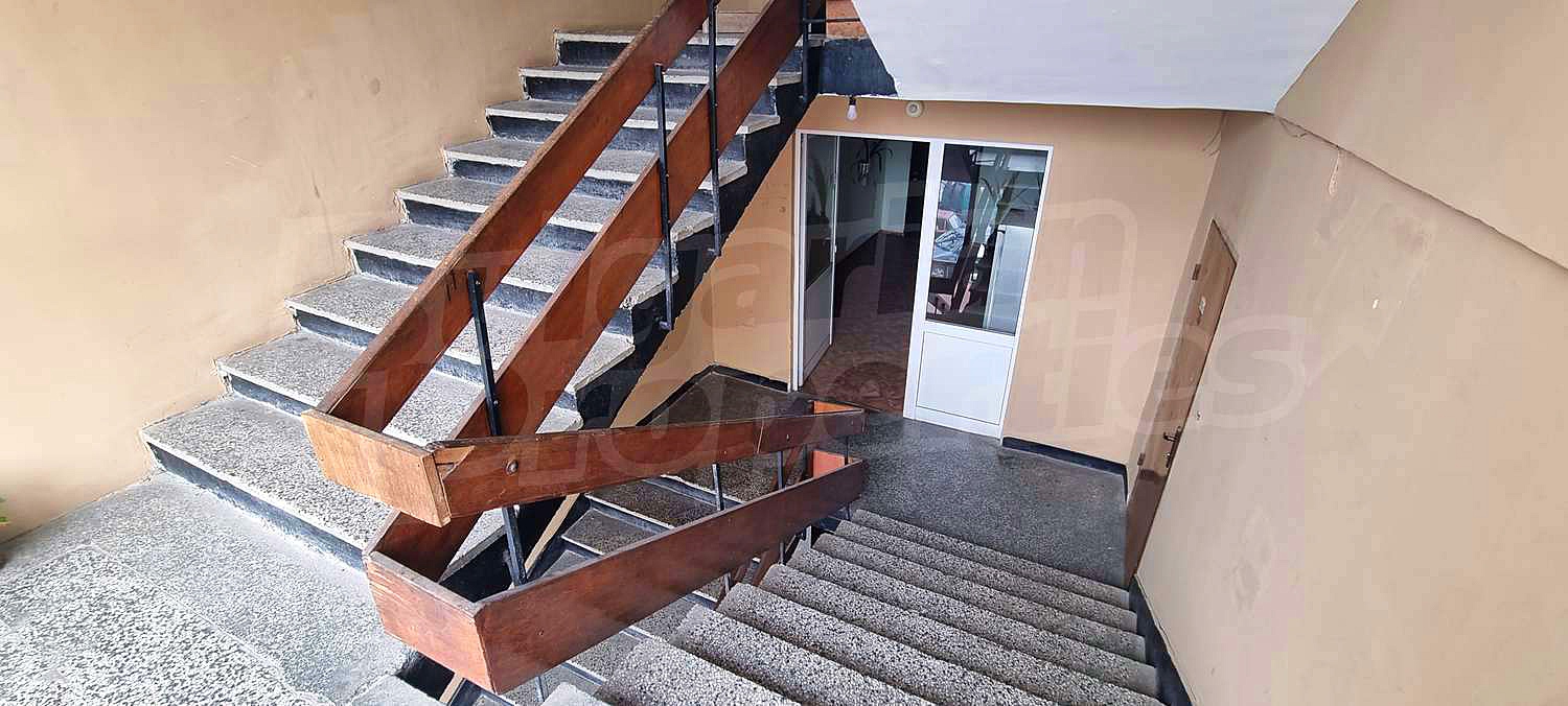 Gallery Picture 17