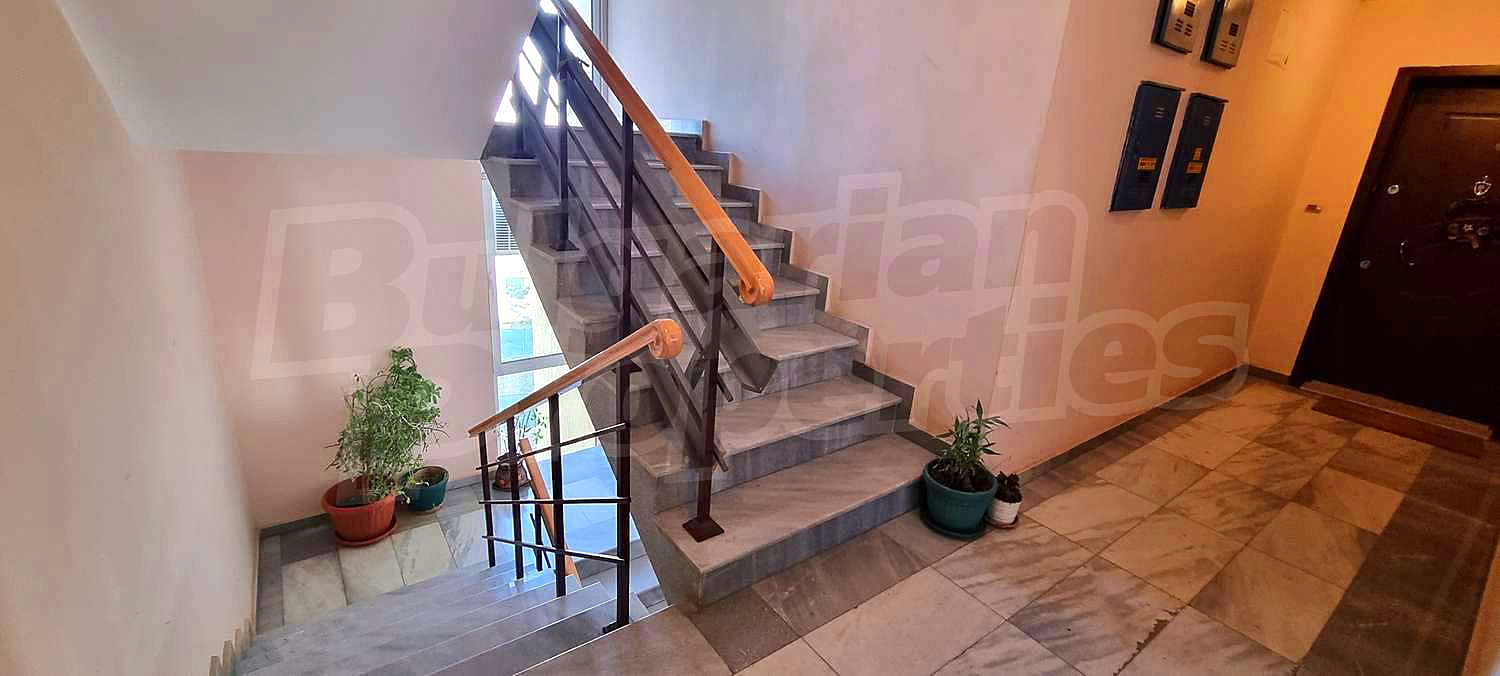 Gallery Picture 16