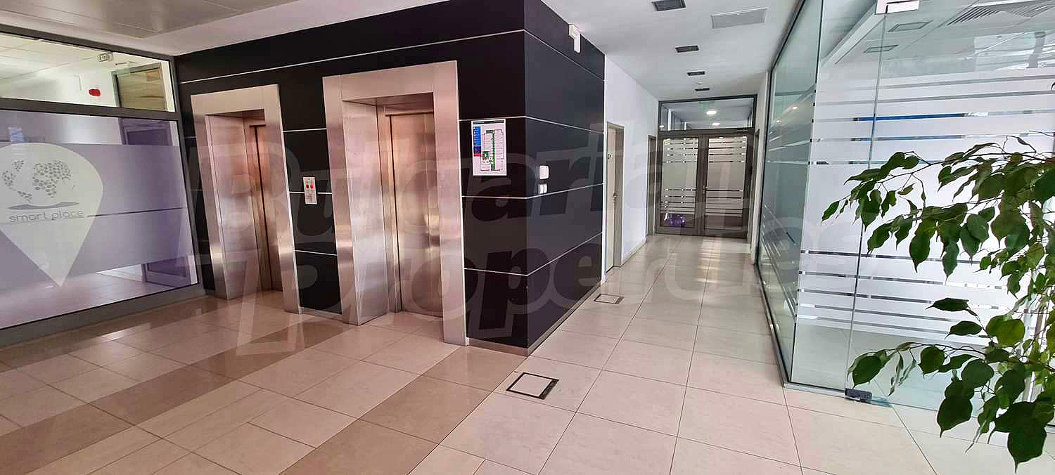 Gallery Picture 16