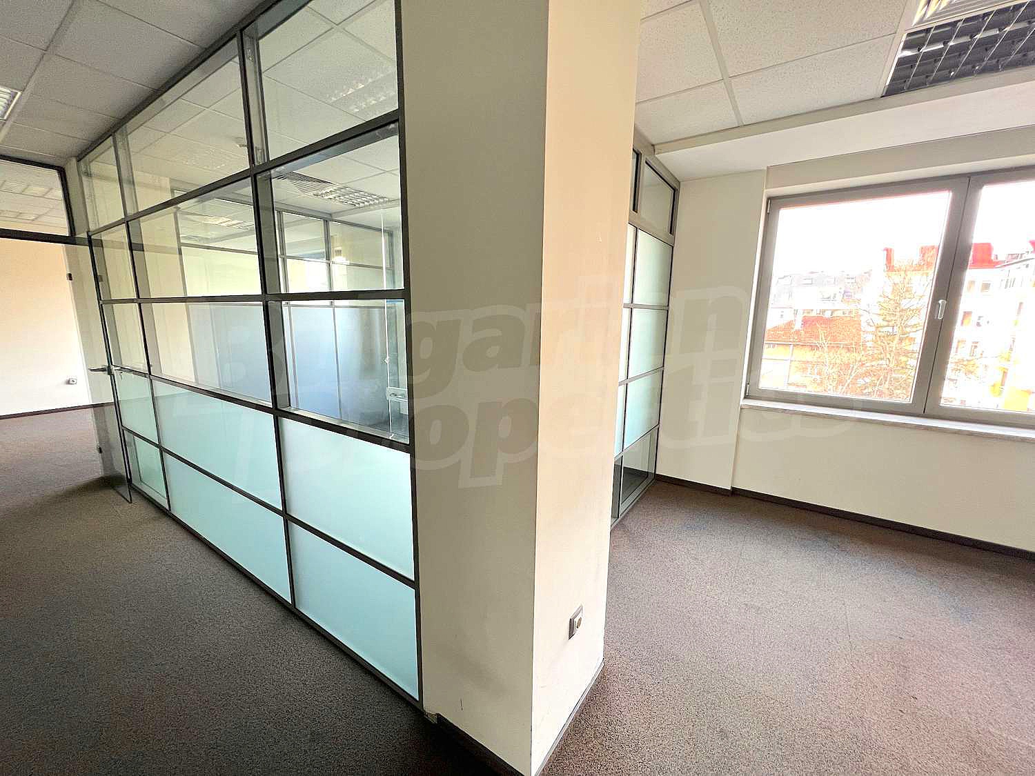 Gallery Picture 23