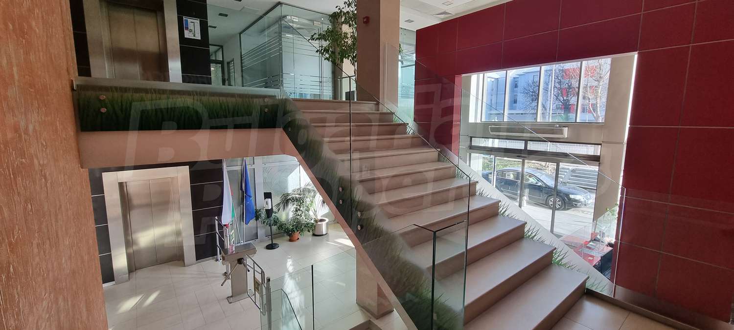 Gallery Picture 9