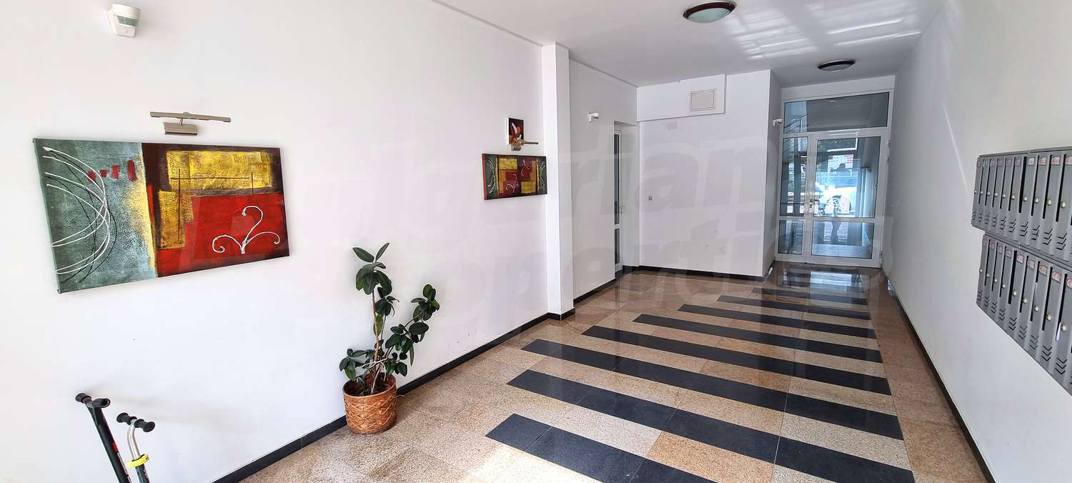 Gallery Picture 13