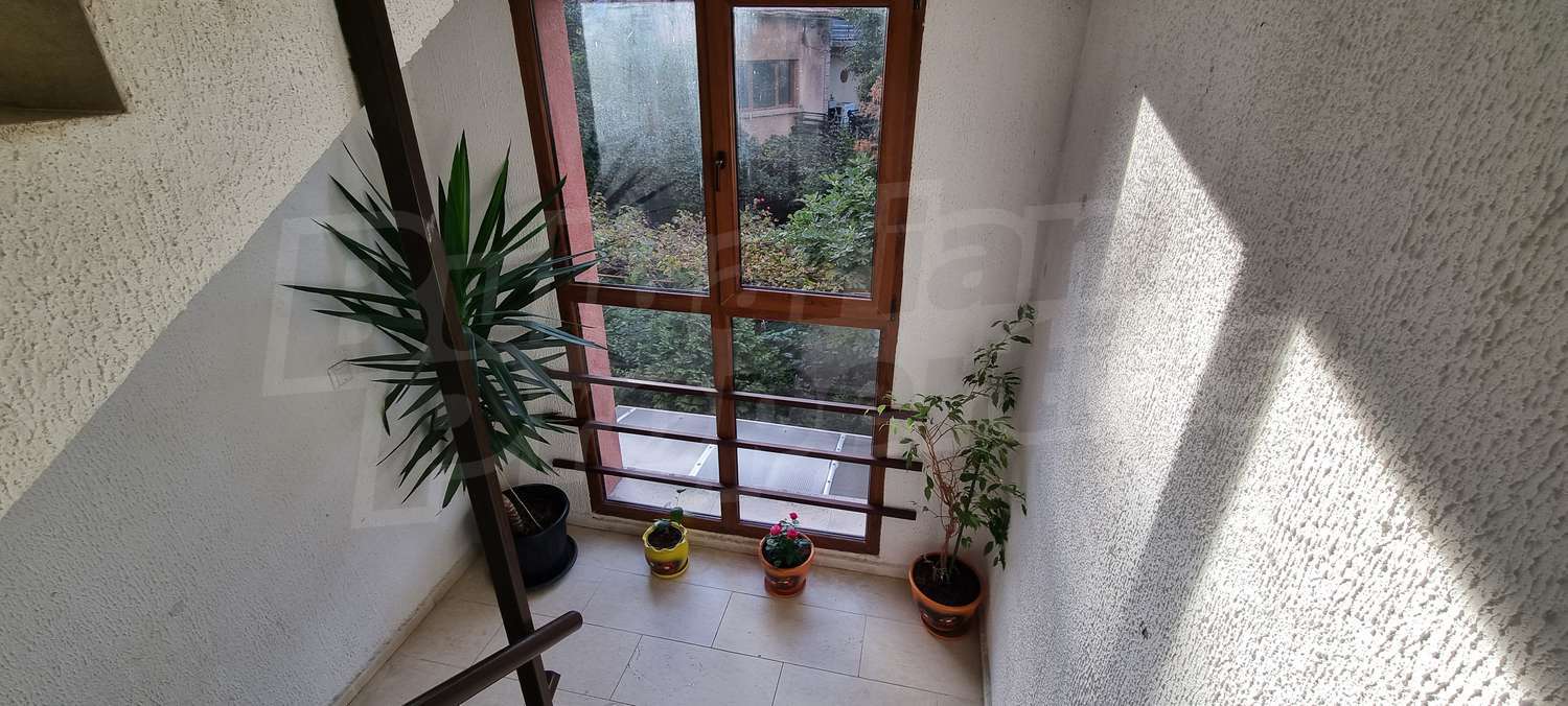 Gallery Picture 17