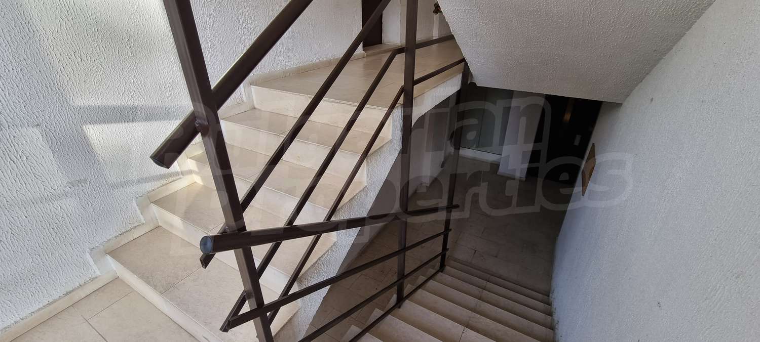 Gallery Picture 18