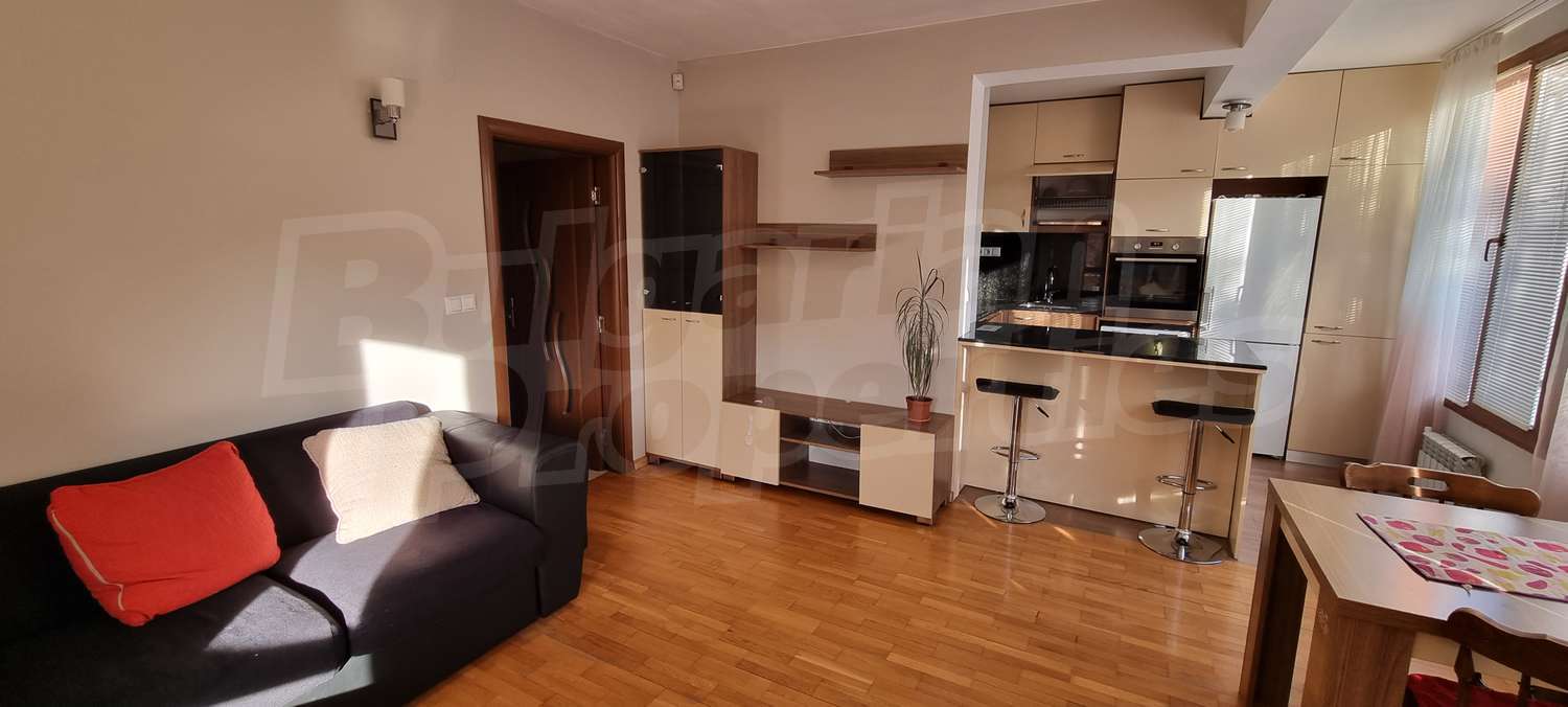 Gallery Picture 6