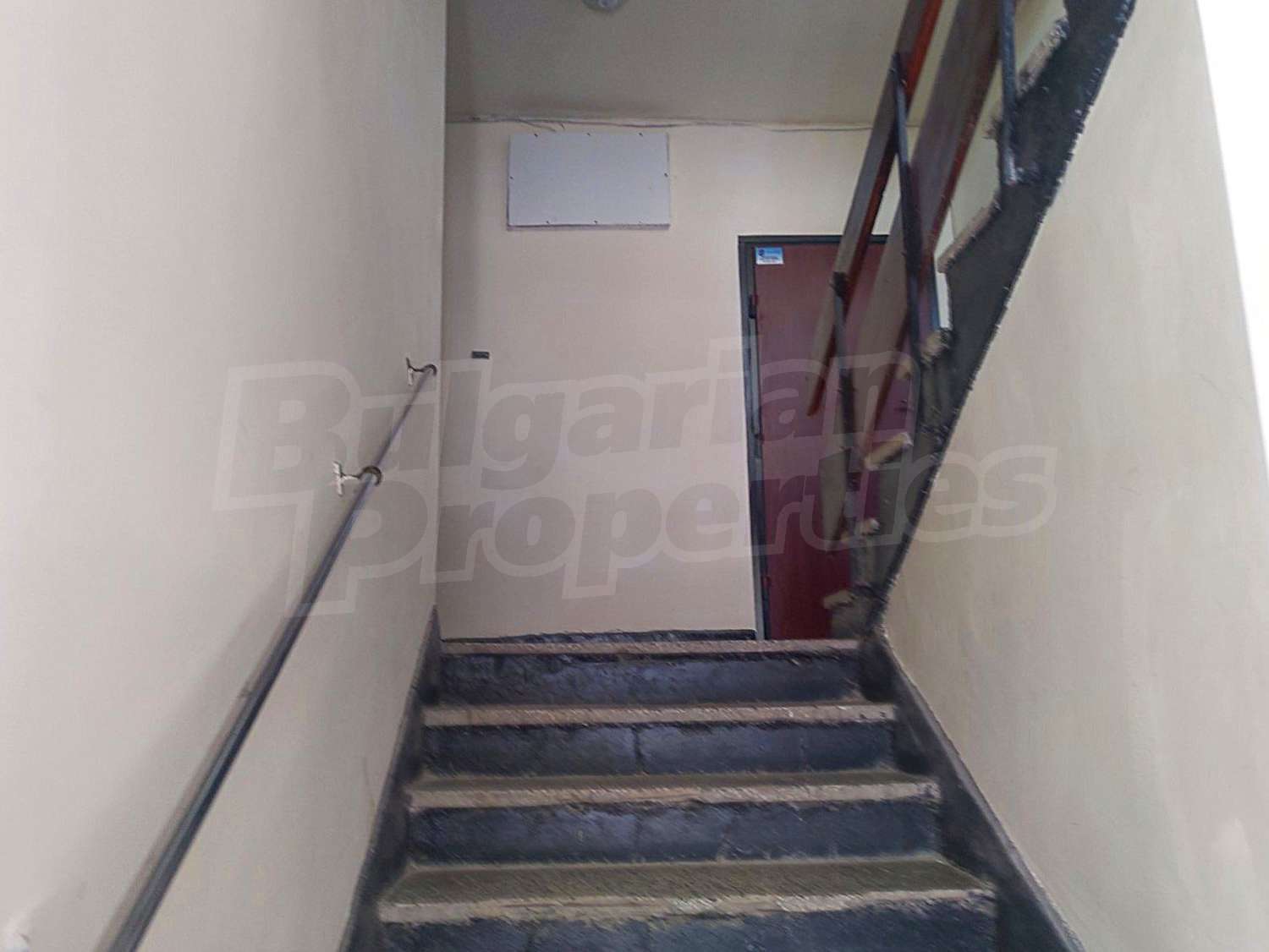 Gallery Picture 10