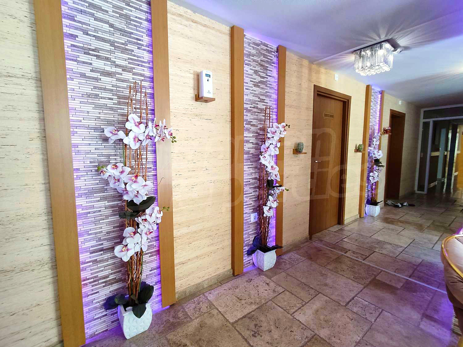 Gallery Picture 27