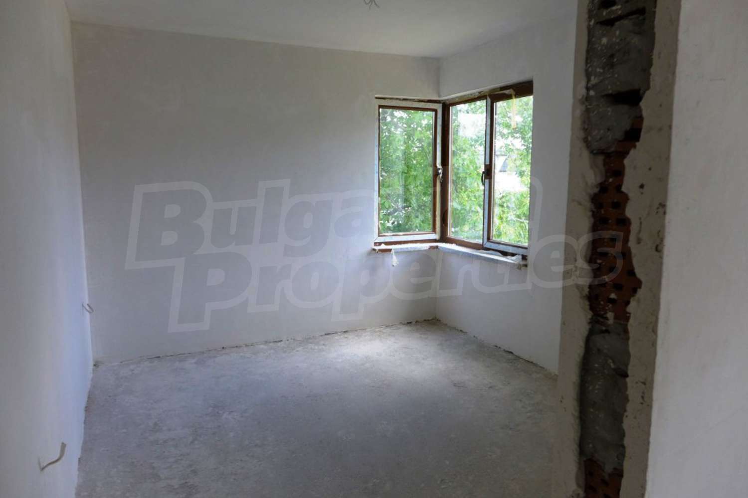 Gallery Picture 11