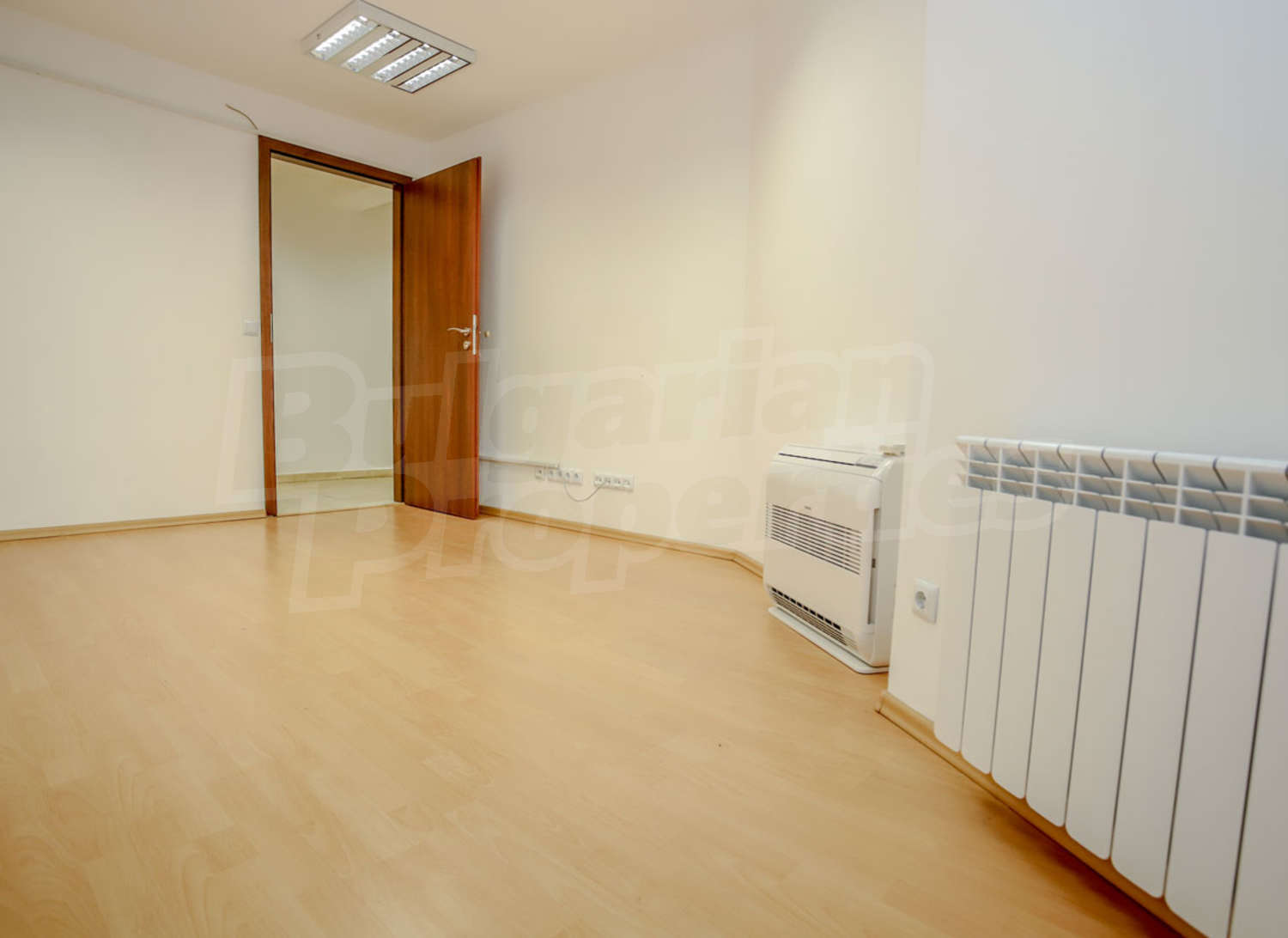 Gallery Picture 12