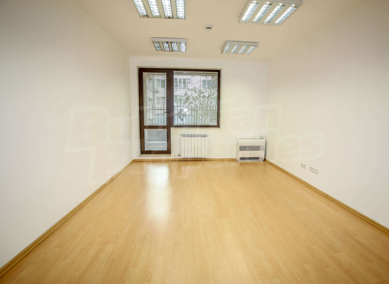 Gallery Picture 13