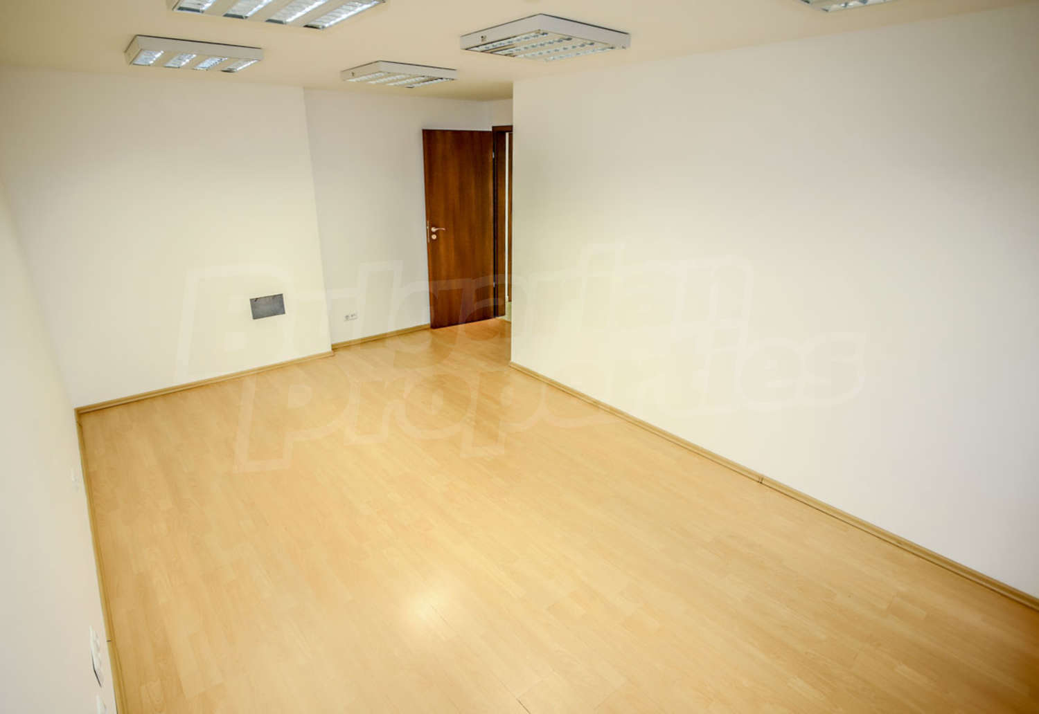 Gallery Picture 16