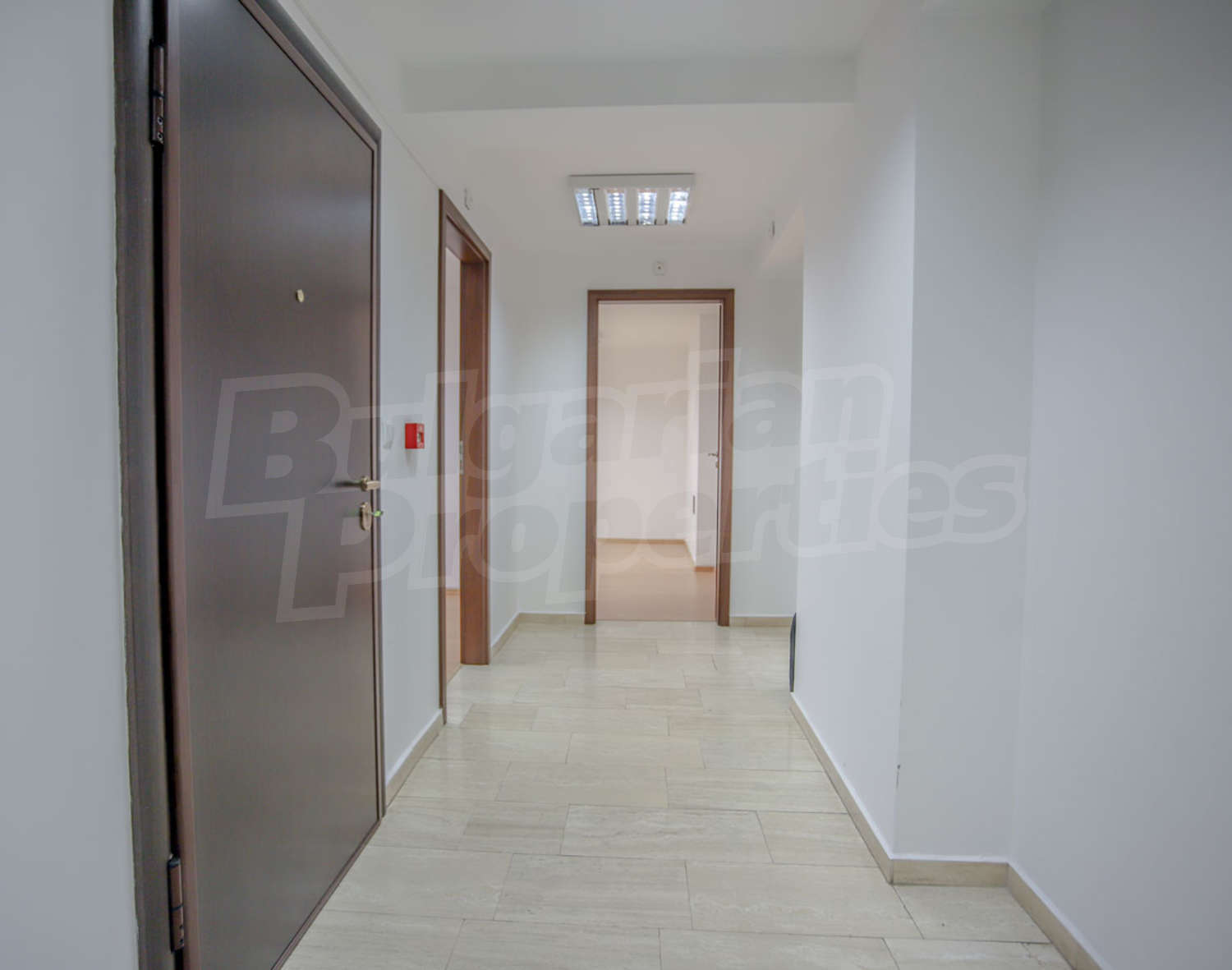 Gallery Picture 9