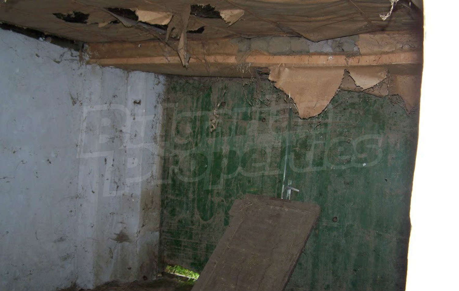 Gallery Picture 17