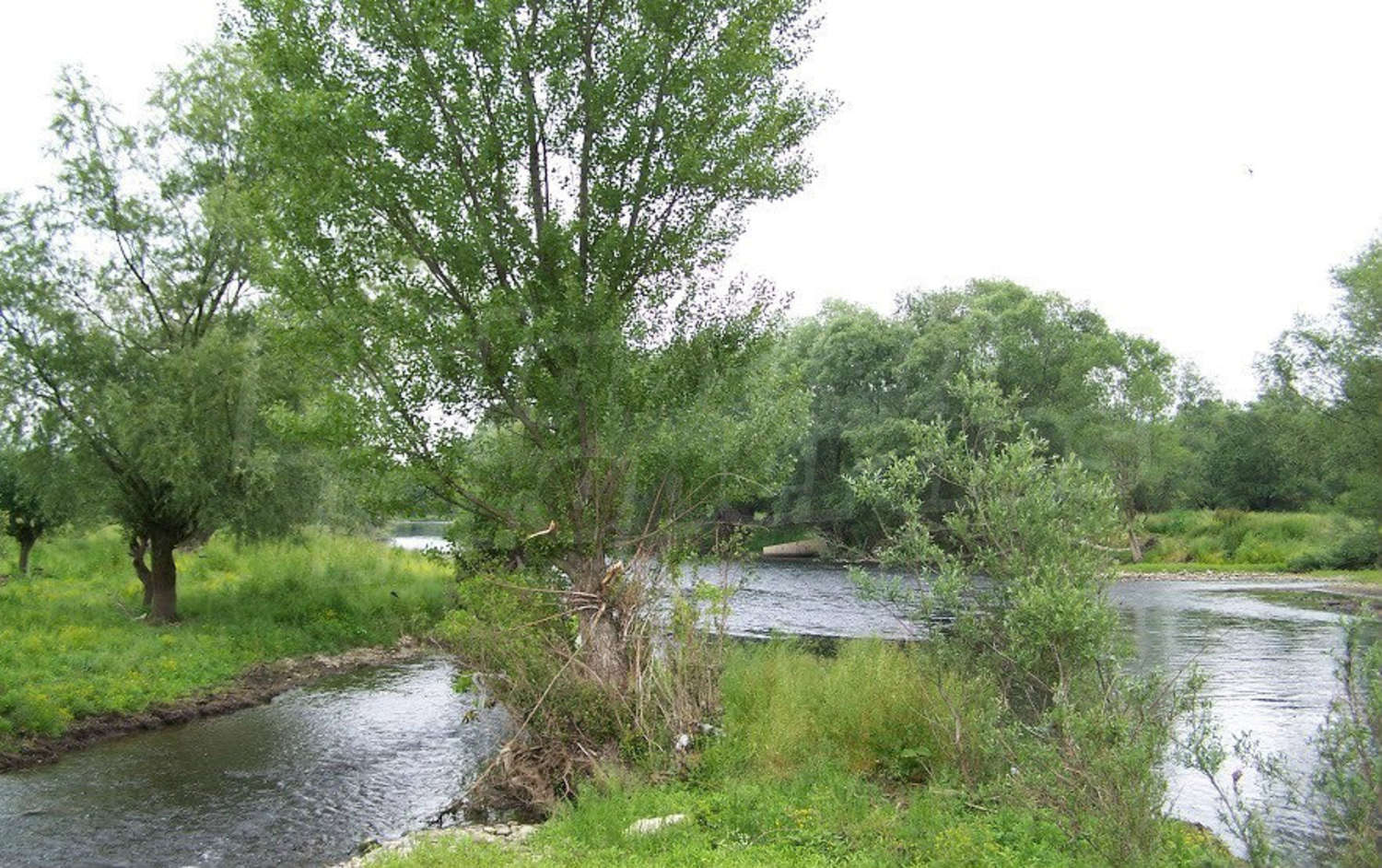 Gallery Picture 38