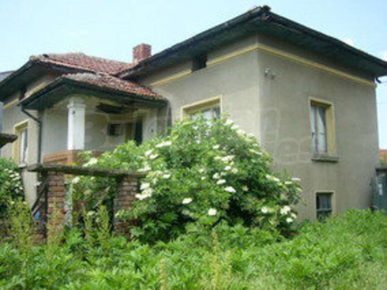 Gallery Picture 8