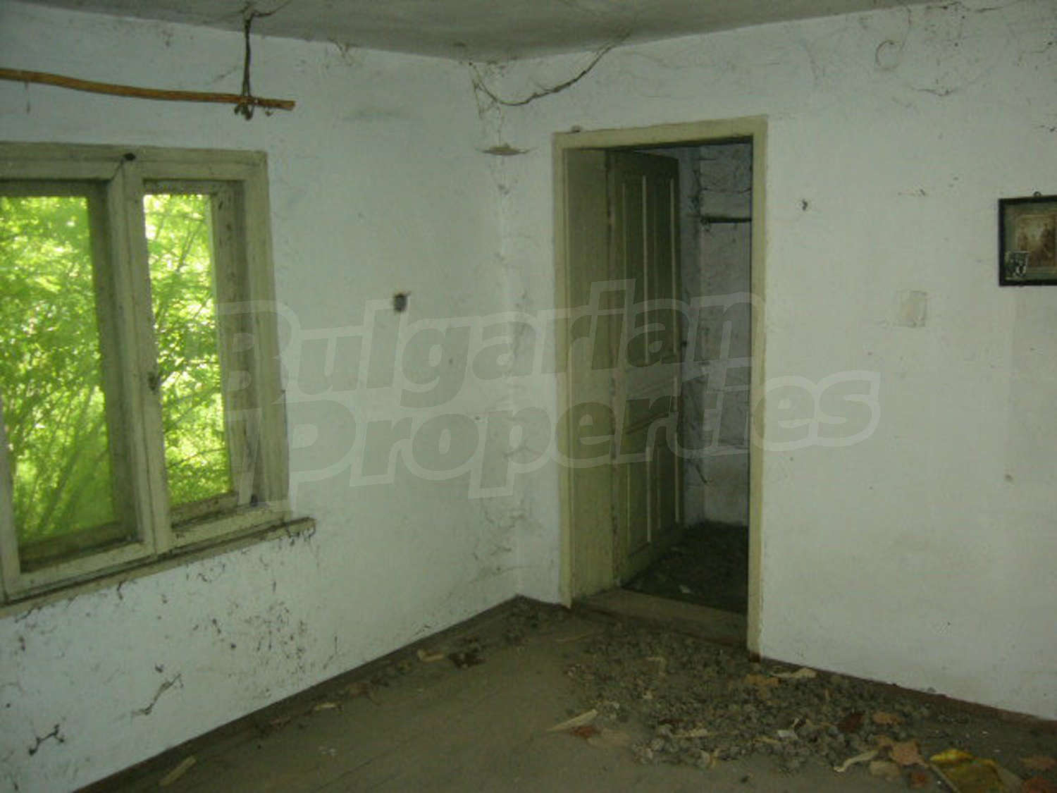 Gallery Picture 50