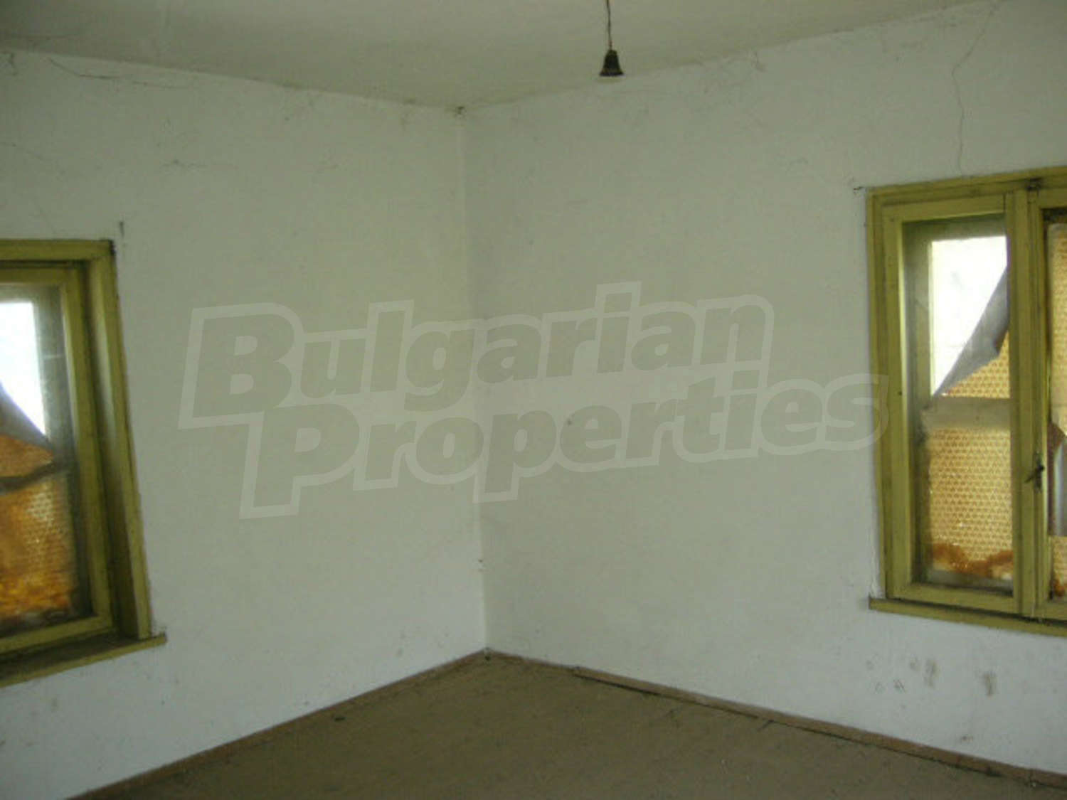 Gallery Picture 51