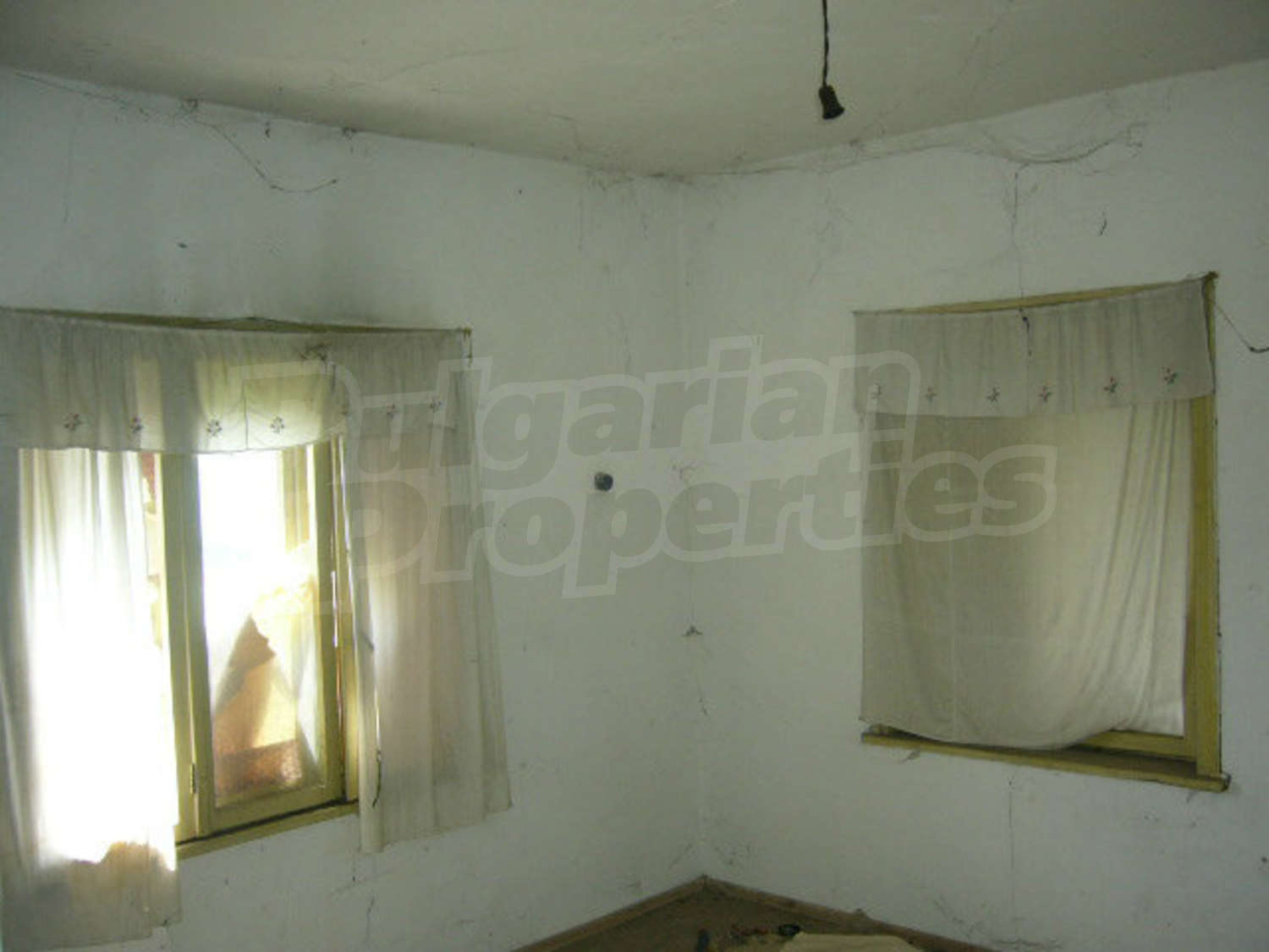 Gallery Picture 52