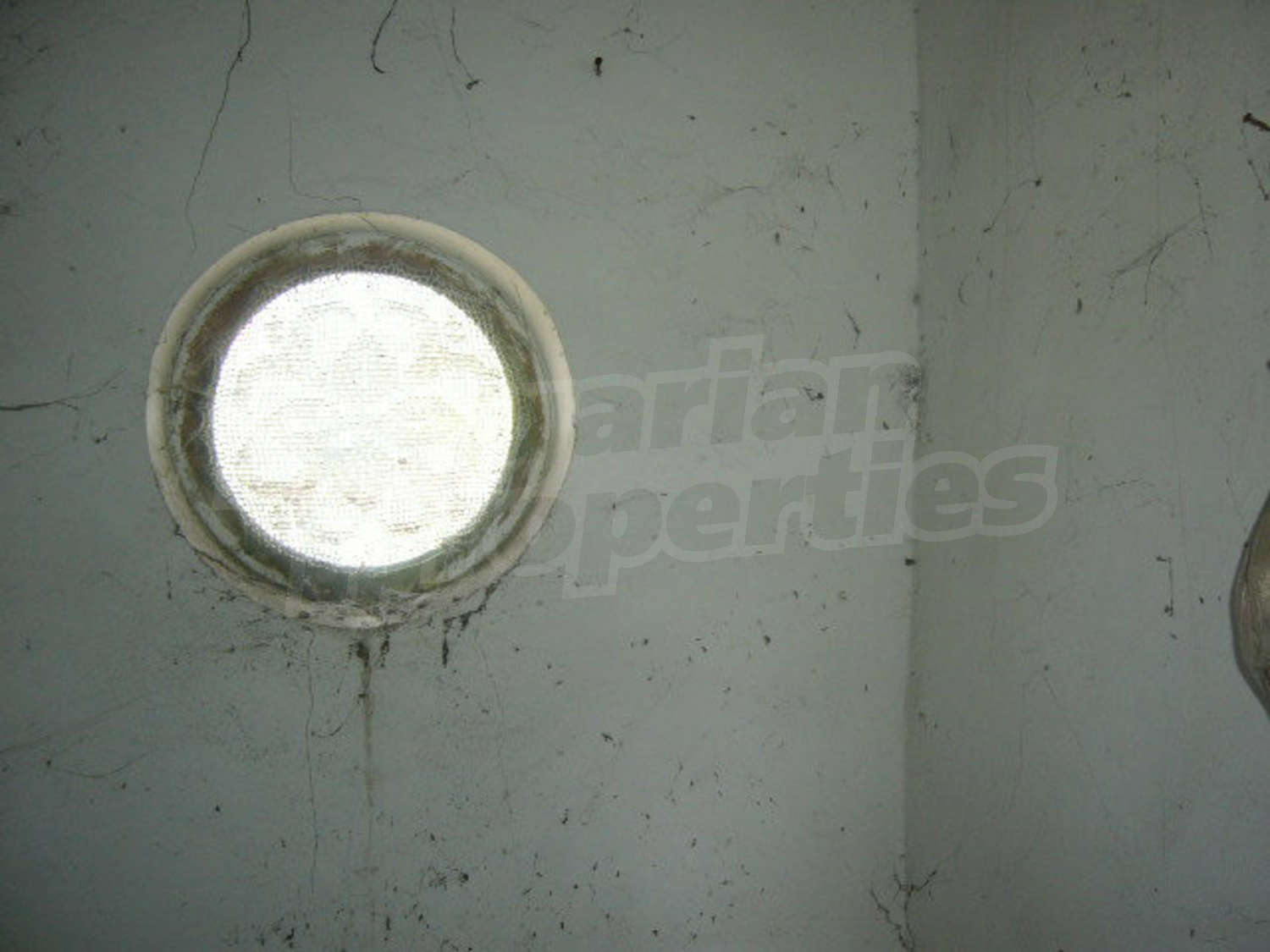 Gallery Picture 53
