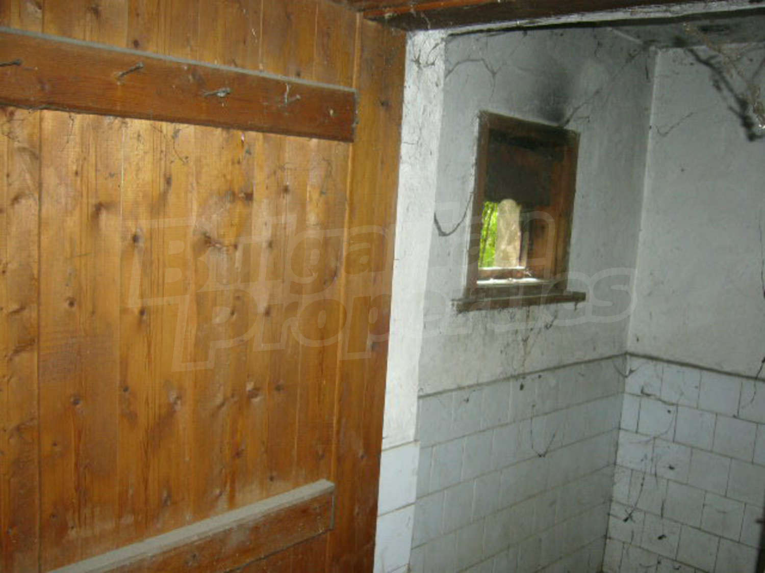 Gallery Picture 55