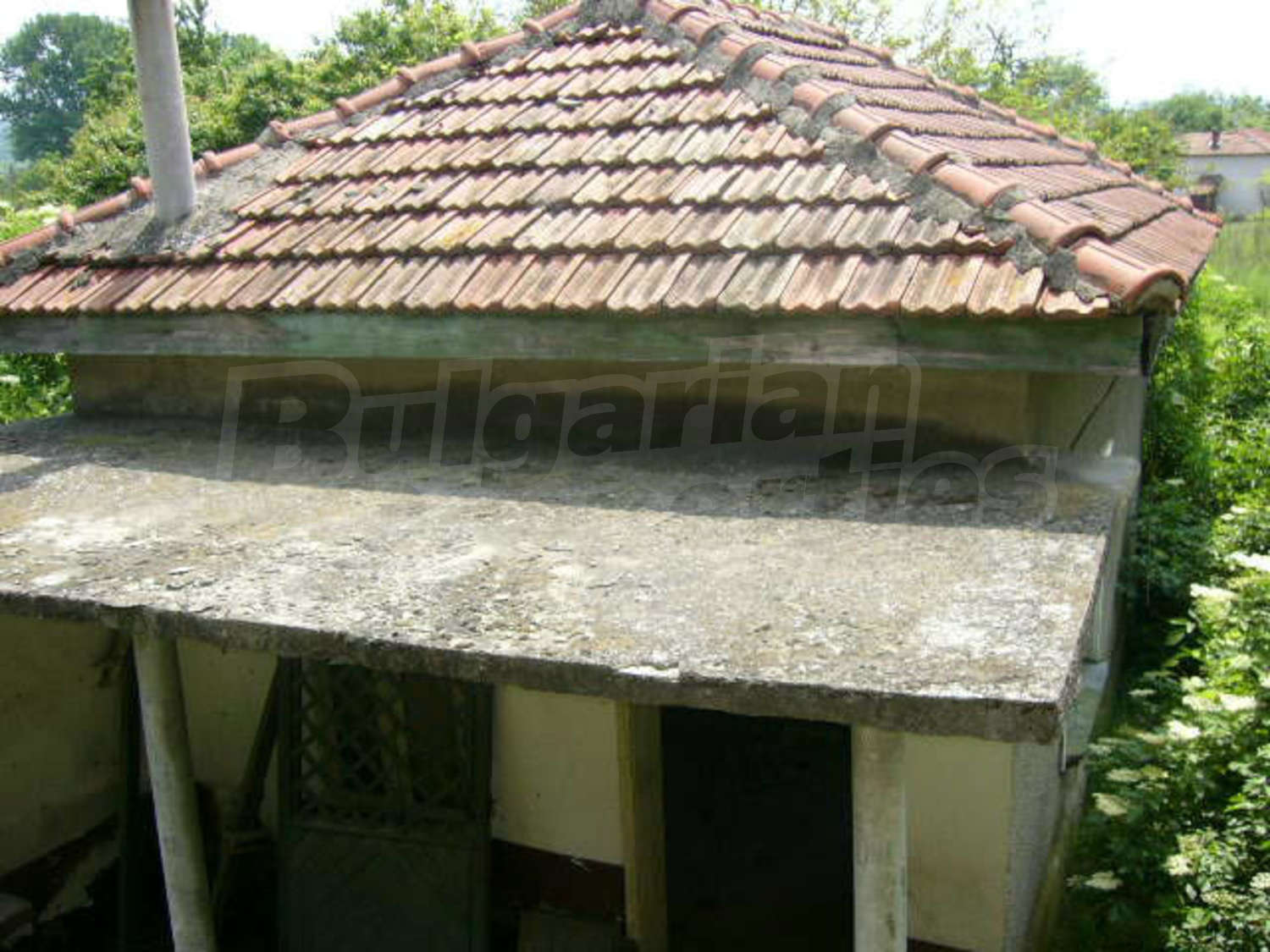 Gallery Picture 56