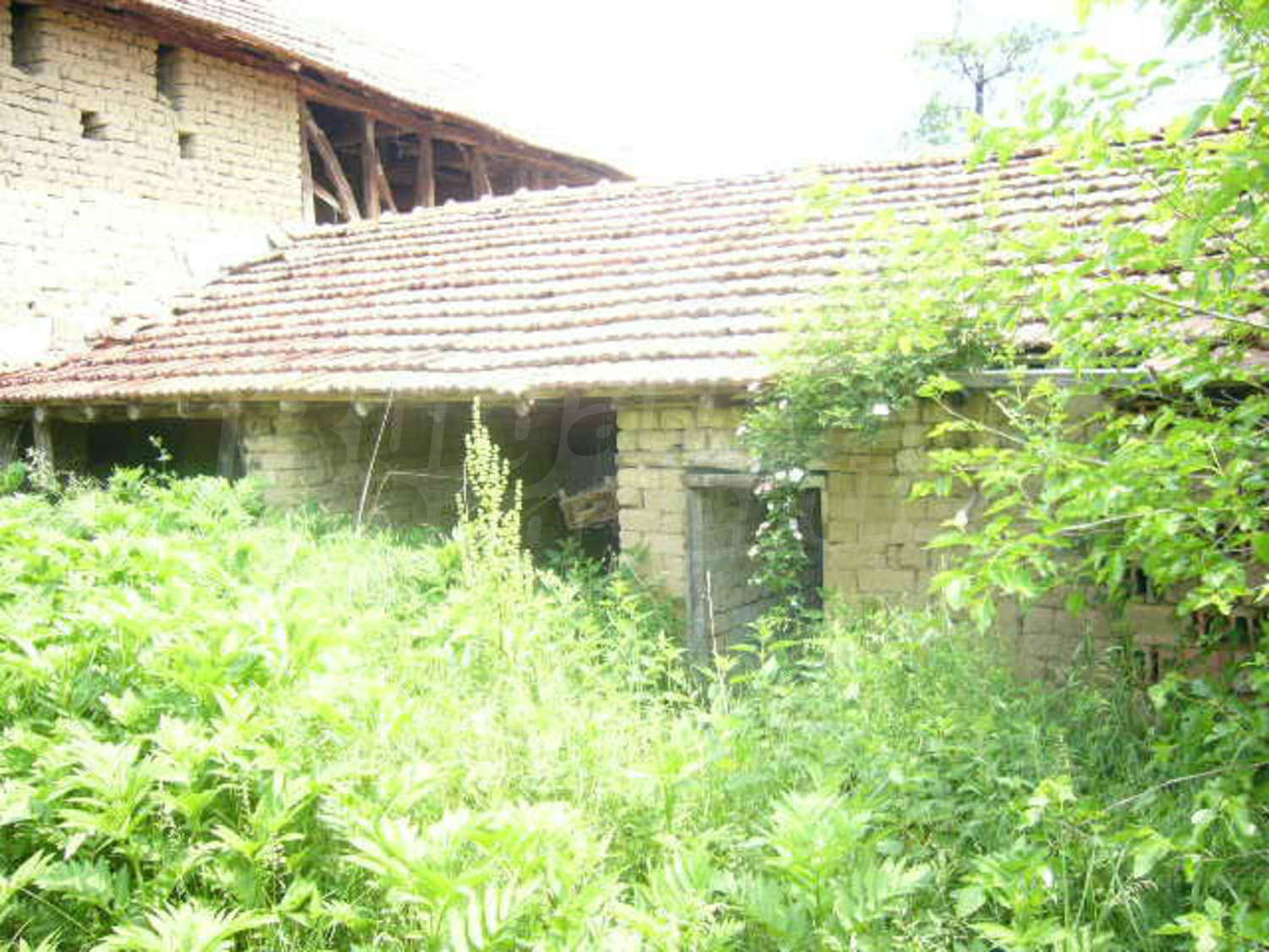 Gallery Picture 57