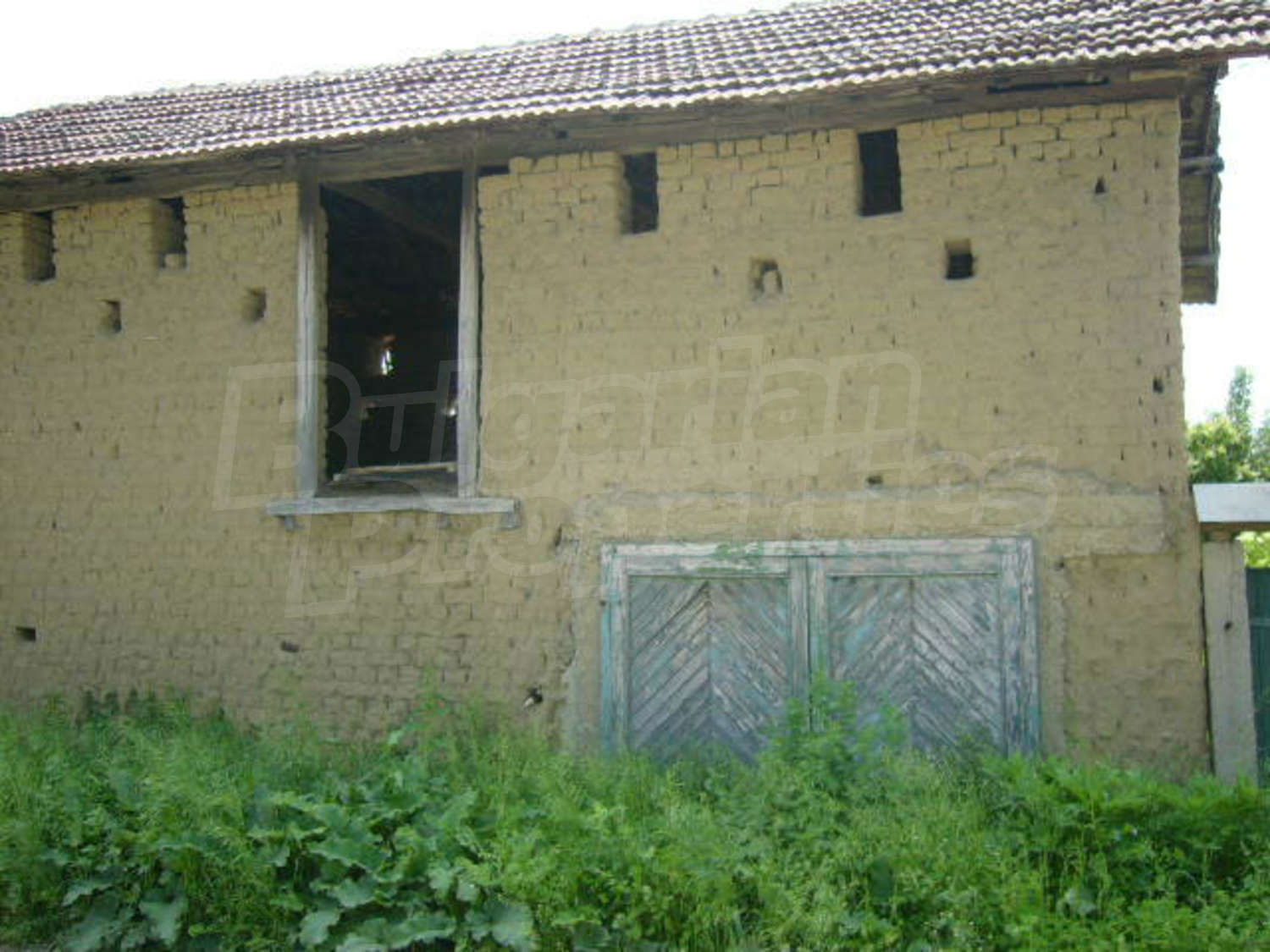 Gallery Picture 58