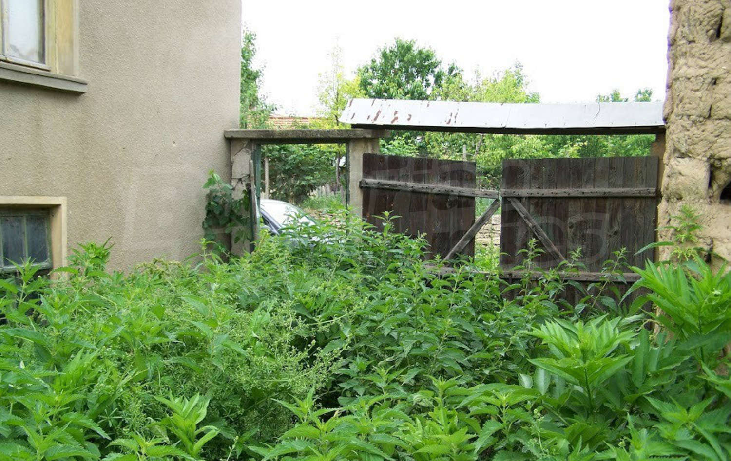 Gallery Picture 13