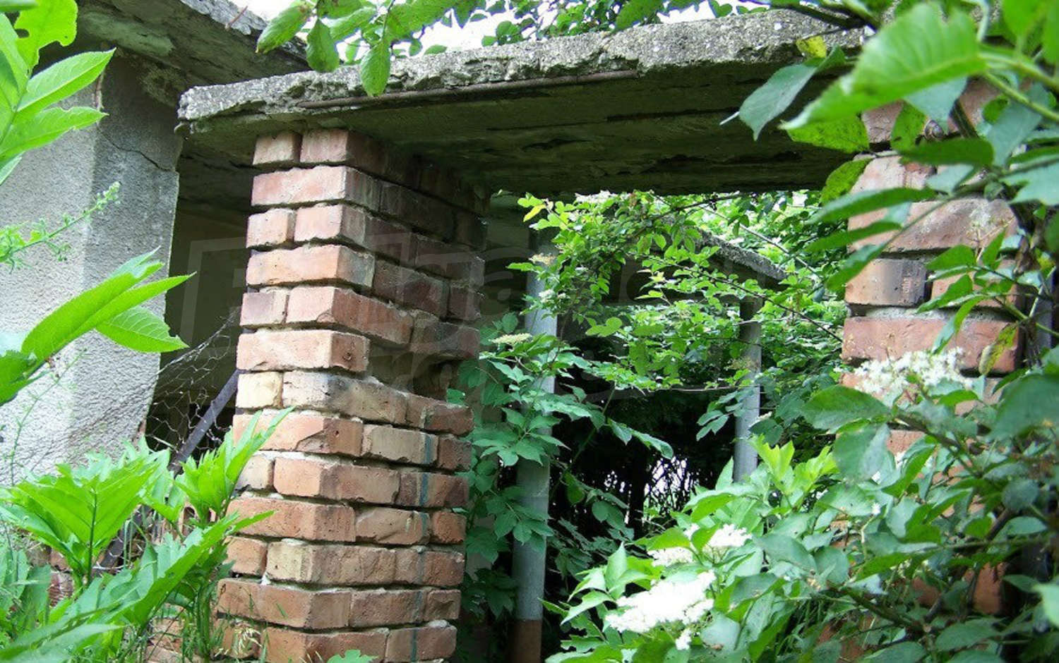 Gallery Picture 15
