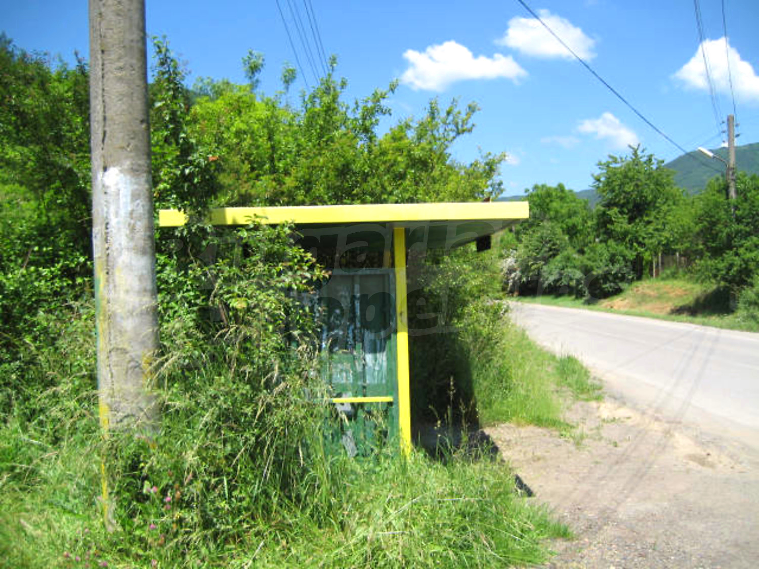 Gallery Picture 6