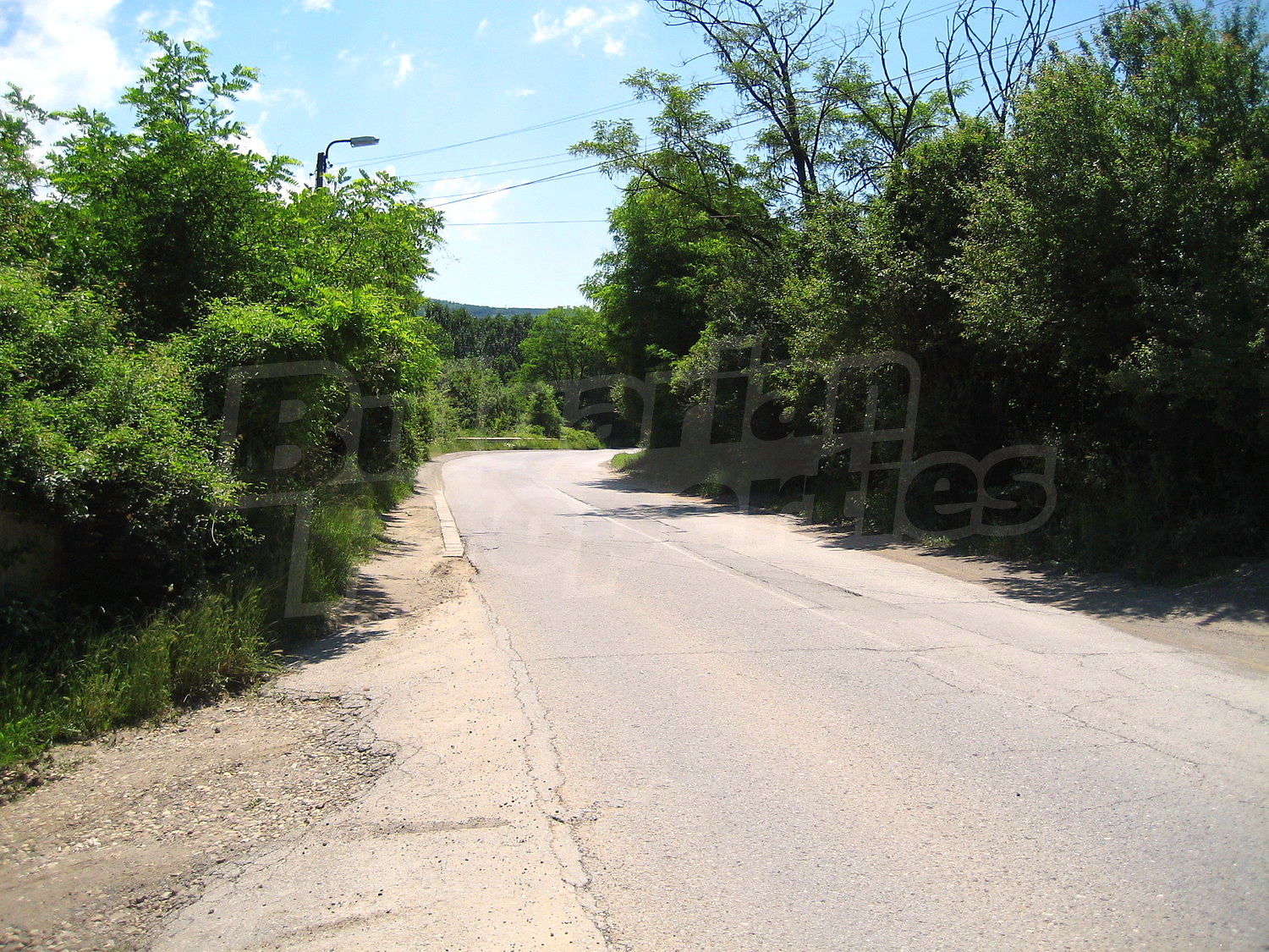 Gallery Picture 9