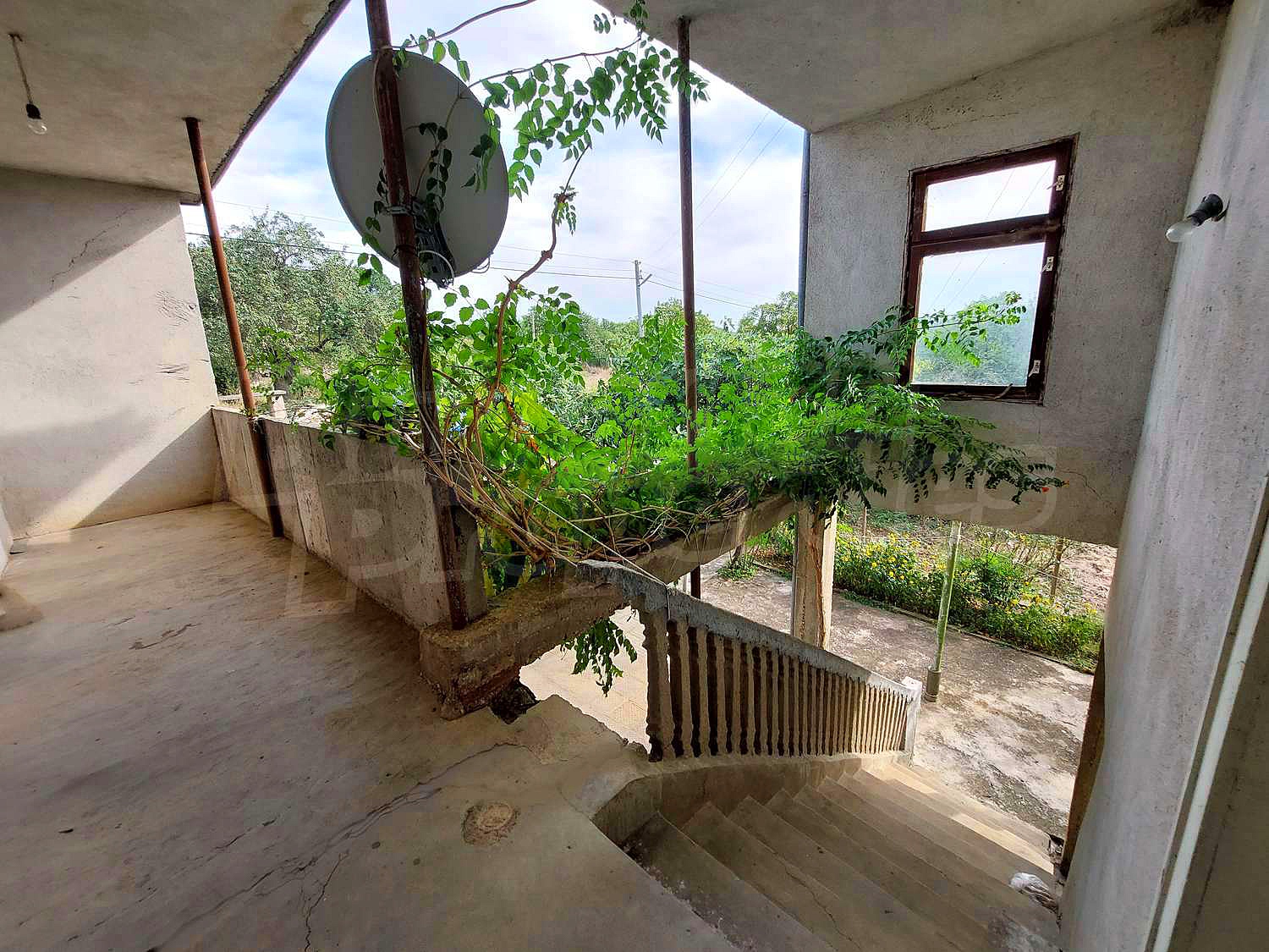 Gallery Picture 15