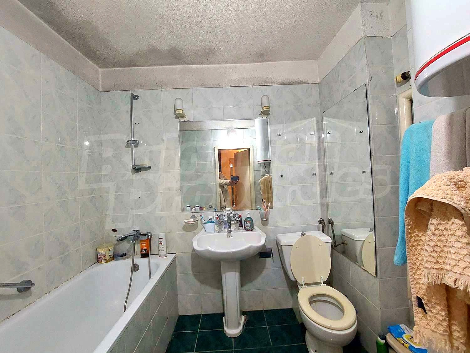 Gallery Picture 15