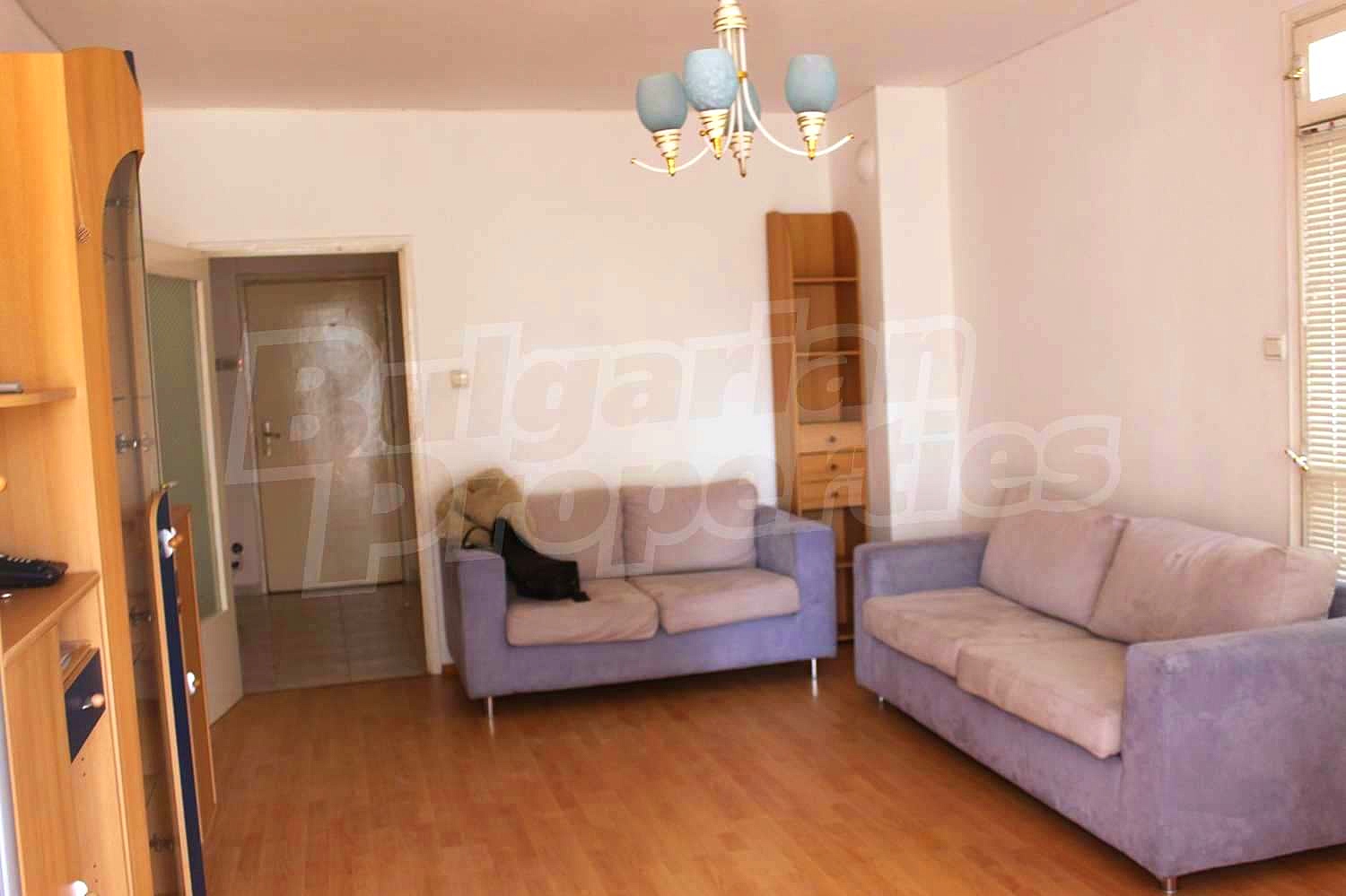 Gallery Picture 9