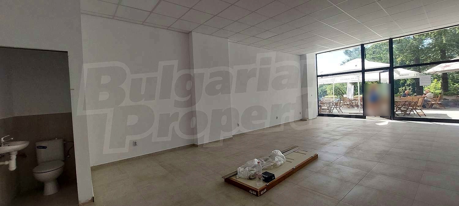 Gallery Picture 22