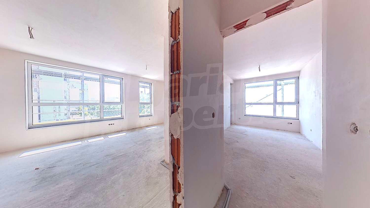 Gallery Picture 16