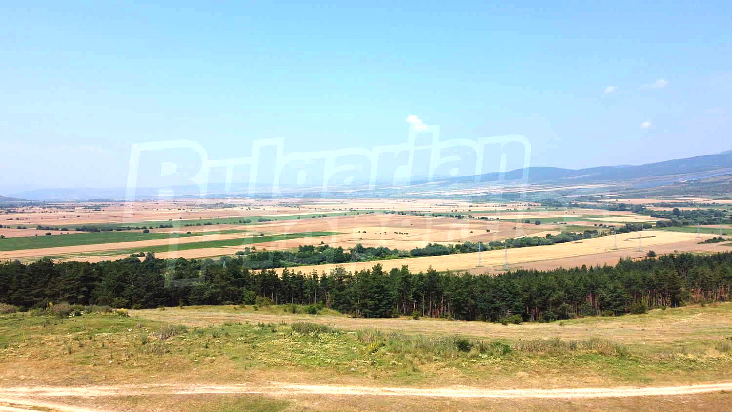 Gallery Picture 7