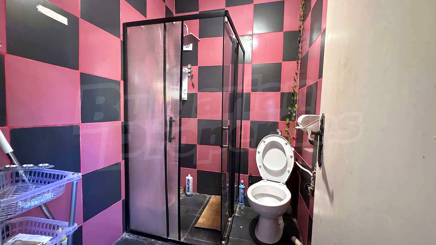 Gallery Picture 12
