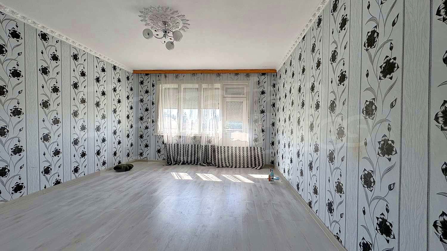 Gallery Picture 19