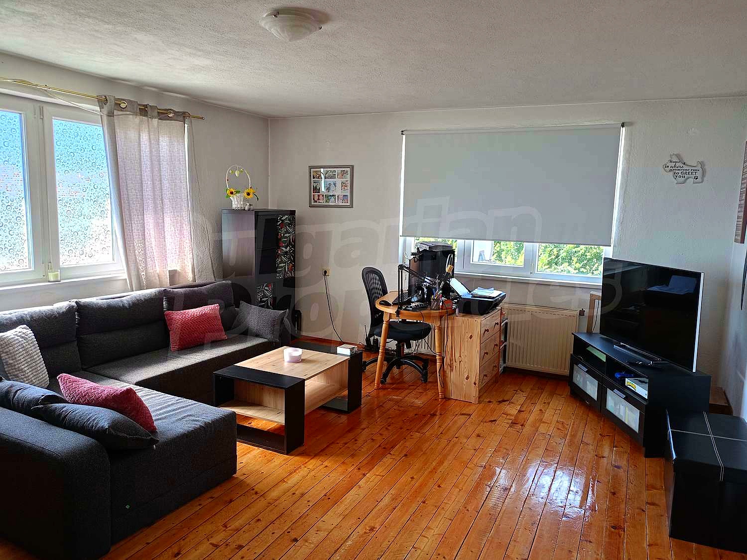 Gallery Picture 19