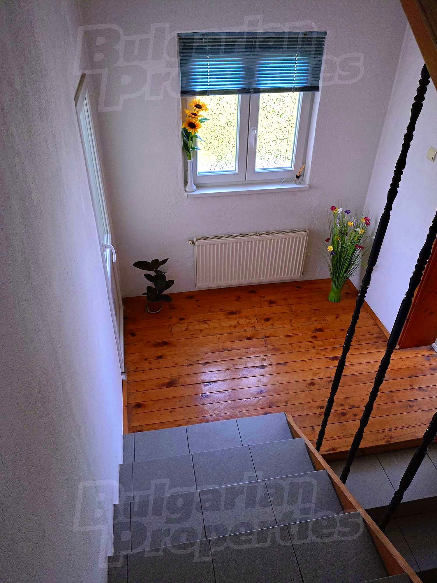 Gallery Picture 25