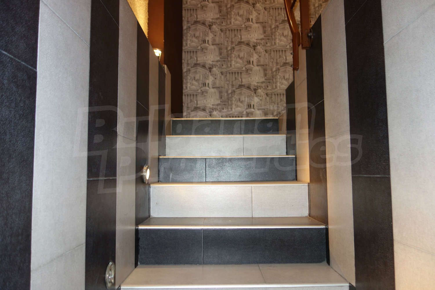 Gallery Picture 19