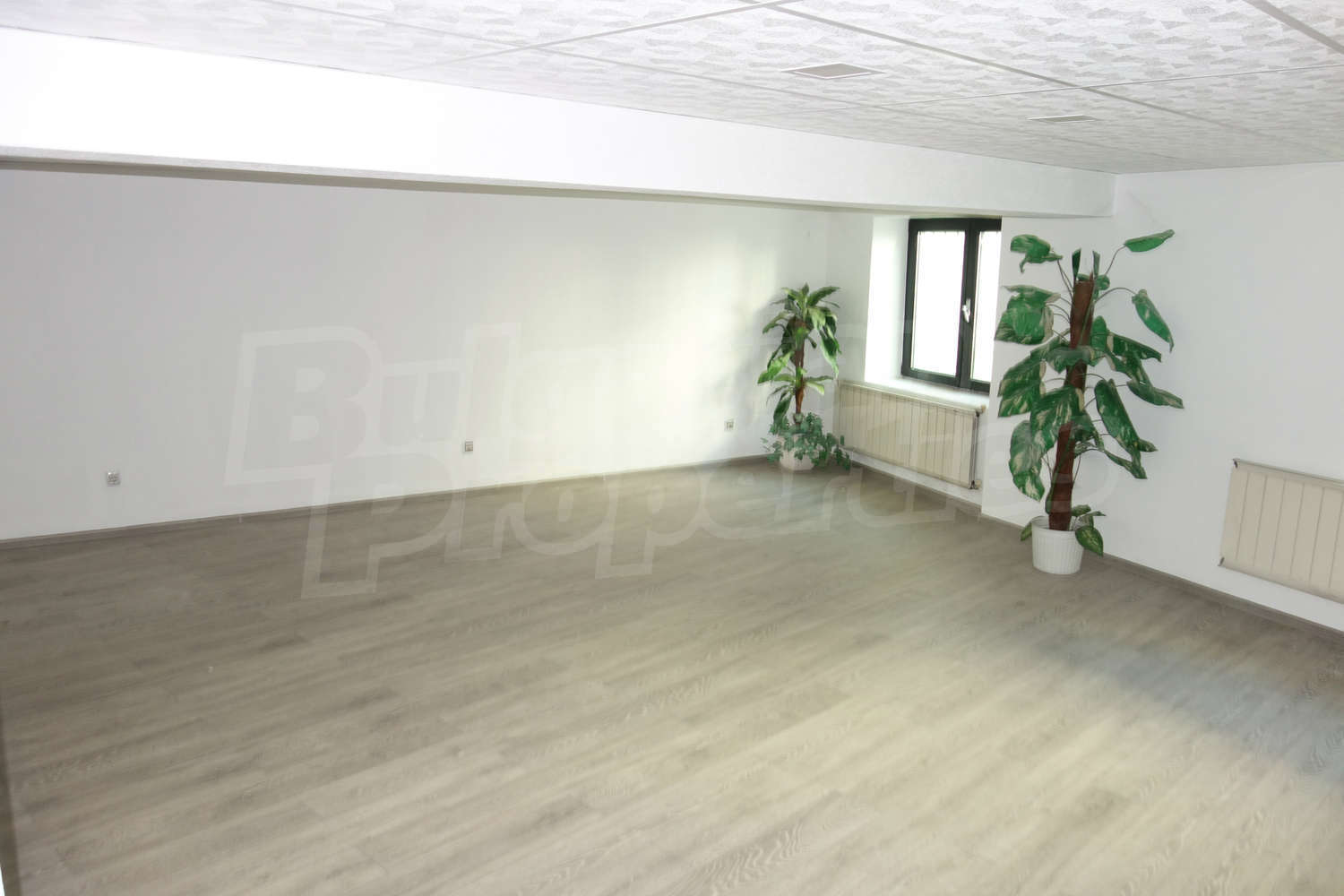 Gallery Picture 9