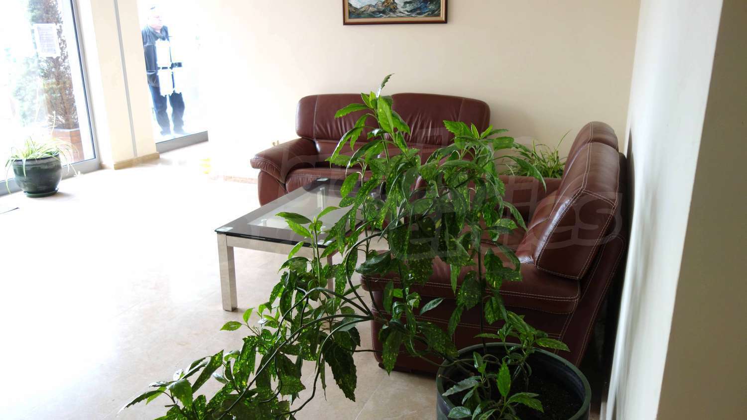 Gallery Picture 39