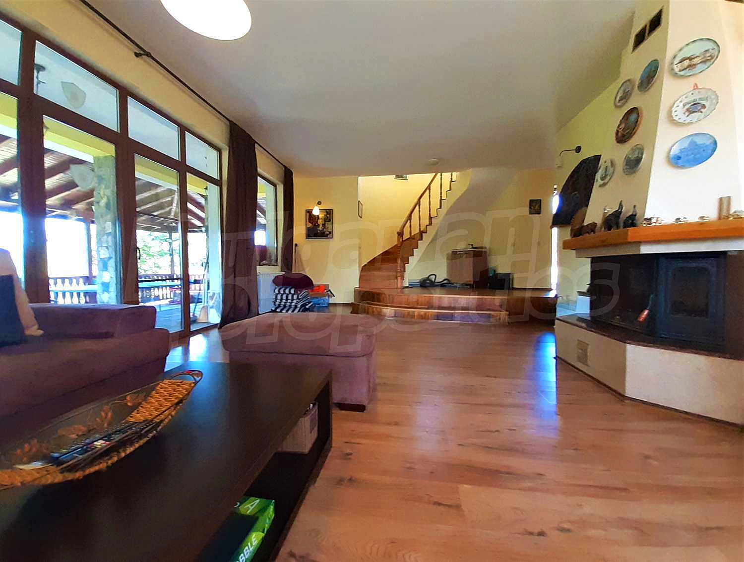 Gallery Picture 10
